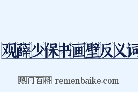 观薛少保书画壁反义词是什么意思的图片